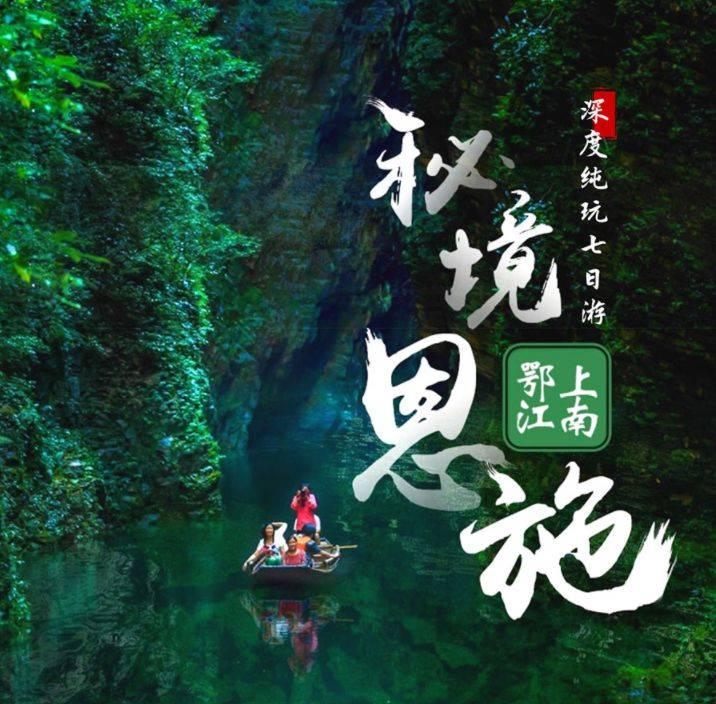 救援有趣的孔雀