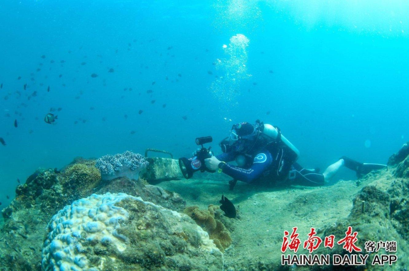 虎胆熊威2中文无敌版