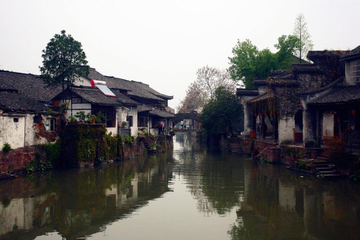 拯救蝙蝠家族